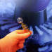 Стеклянная трубка для курения Helix Compact Oil Orange Ø25 мм. Стеклянная трубка для курения Helix Compact Oil Orange Ø25 мм.